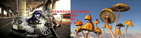 синтетический гашиш Каменск-Шахтинский