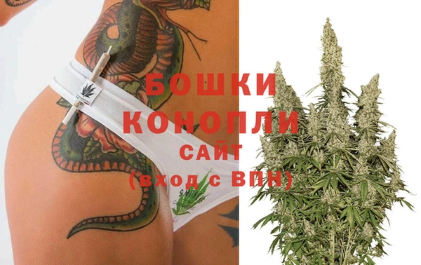 эйфоретик Богородицк