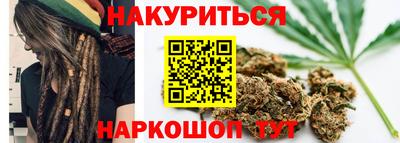 гидра Краснознаменск
