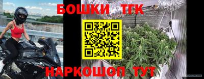 гидра Краснознаменск