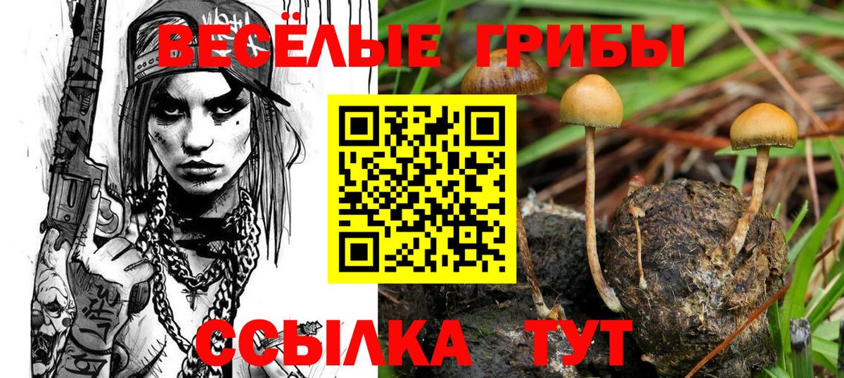 Галлюциногенные грибы Magic Shrooms Среднеуральск