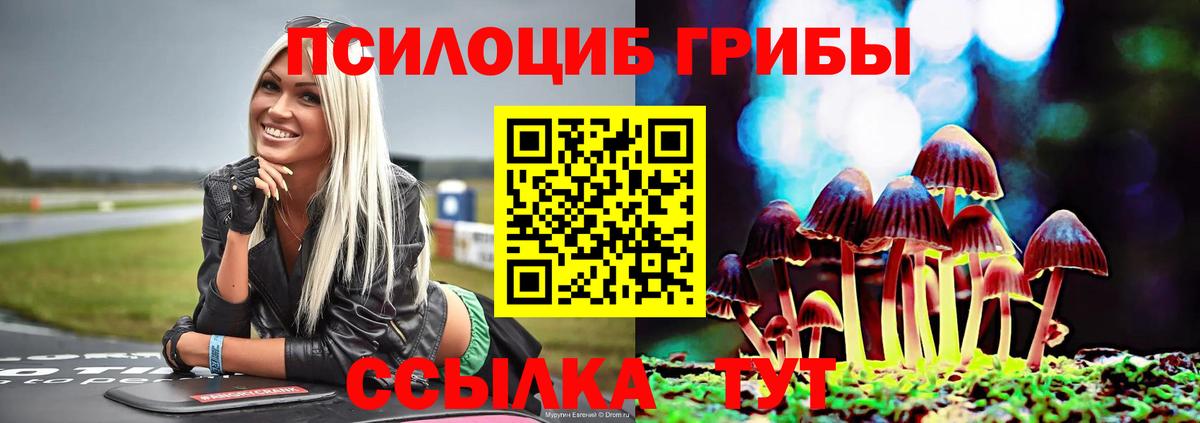 Галлюциногенные грибы ЛСД  Псилоцибиновые грибы мухоморы  Среднеуральск  Вход с VPN 